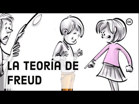 Las 5 Etapas Del Desarrollo Psicosexual De Freud WMCMF Play