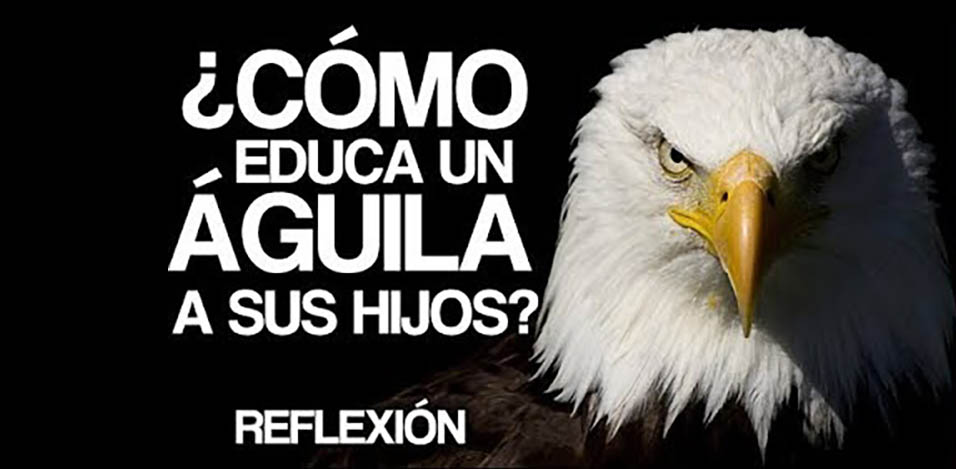 Historias para Reflexionar - El consejo del Águila | WMCMF Play